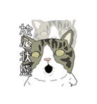 とある家の猫たち（個別スタンプ：17）