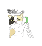 とある家の猫たち（個別スタンプ：29）