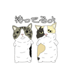 とある家の猫たち（個別スタンプ：36）