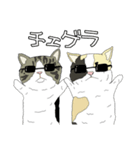 とある家の猫たち（個別スタンプ：37）