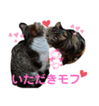 りな②（個別スタンプ：31）