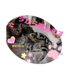 りな②（個別スタンプ：32）