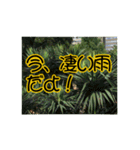 いつも使える言葉達 (1)（個別スタンプ：15）