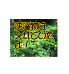 いつも使える言葉達 (1)（個別スタンプ：23）