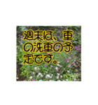 いつも使える言葉達 (1)（個別スタンプ：26）