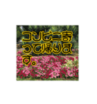 いつも使える言葉達 (1)（個別スタンプ：29）