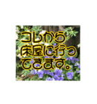 いつも使える言葉達 (1)（個別スタンプ：33）