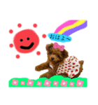 わちゅくん♡1（個別スタンプ：1）