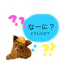 わちゅくん♡1（個別スタンプ：9）