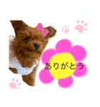 わちゅくん♡1（個別スタンプ：11）