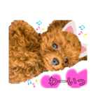 わちゅくん♡1（個別スタンプ：18）