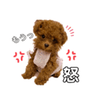 わちゅくん♡1（個別スタンプ：20）