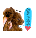 わちゅくん♡1（個別スタンプ：22）
