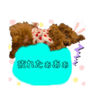 わちゅくん♡1（個別スタンプ：23）