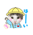 銀ちゃんのもふもふ挨拶スタンプ♡（個別スタンプ：5）