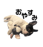 ちょびちょびすたんぷ（個別スタンプ：6）