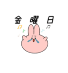 うさぎのシンプルで毎日使えるスタンプ大4（個別スタンプ：24）