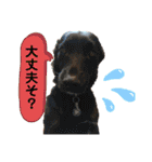 カフェネームアニマルと愉快な仲間達（個別スタンプ：16）