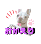 カフェネームアニマルと愉快な仲間達（個別スタンプ：17）