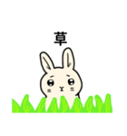 うしゃぴ3（個別スタンプ：1）