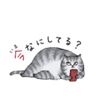 サバトラねこの毎日 2（個別スタンプ：1）