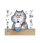 サバトラねこの毎日 2（個別スタンプ：17）