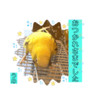 うめちゃんのきまぐれスタンプ（個別スタンプ：6）