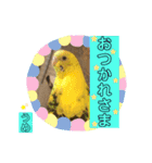 うめちゃんのきまぐれスタンプ（個別スタンプ：7）