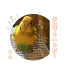 うめちゃんのきまぐれスタンプ（個別スタンプ：14）