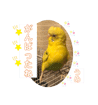 うめちゃんのきまぐれスタンプ（個別スタンプ：15）