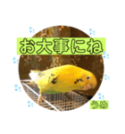 うめちゃんのきまぐれスタンプ（個別スタンプ：16）