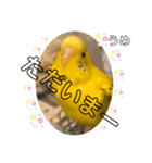 うめちゃんのきまぐれスタンプ（個別スタンプ：17）