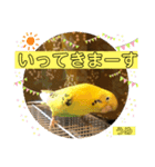 うめちゃんのきまぐれスタンプ（個別スタンプ：18）