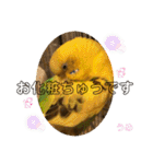 うめちゃんのきまぐれスタンプ（個別スタンプ：20）