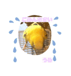 うめちゃんのきまぐれスタンプ（個別スタンプ：21）