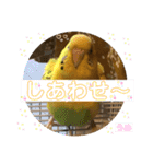うめちゃんのきまぐれスタンプ（個別スタンプ：25）