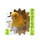 うめちゃんのきまぐれスタンプ（個別スタンプ：26）