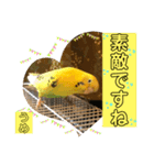 うめちゃんのきまぐれスタンプ（個別スタンプ：29）