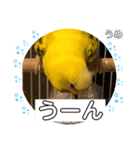 うめちゃんのきまぐれスタンプ（個別スタンプ：30）