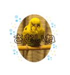 うめちゃんのきまぐれスタンプ（個別スタンプ：31）