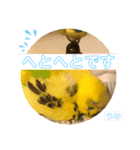 うめちゃんのきまぐれスタンプ（個別スタンプ：33）