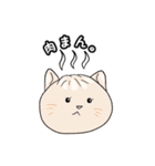 美味しいものとねこ。（個別スタンプ：8）