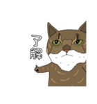 とある家の猫たち ver2（個別スタンプ：4）