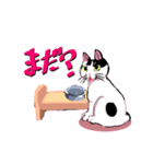 うちの白黒猫と黒猫（個別スタンプ：12）