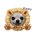 キキとララスタンプ（個別スタンプ：4）