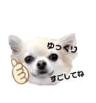 キキとララスタンプ（個別スタンプ：11）