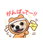 キキとララスタンプ（個別スタンプ：16）