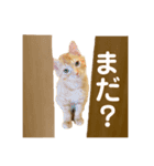 つな（第一弾）（個別スタンプ：6）