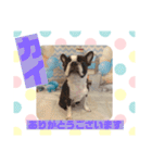 HappyBathPepのお友達D（個別スタンプ：1）