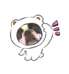 HappyBathPepのお友達D（個別スタンプ：3）